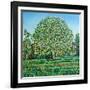 Bow Tree Spring-Noel Paine-Framed Giclee Print