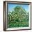 Bow Tree Spring-Noel Paine-Framed Giclee Print