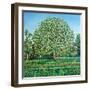 Bow Tree Spring-Noel Paine-Framed Giclee Print