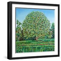 Bow Tree Spring-Noel Paine-Framed Giclee Print