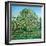 Bow Tree Spring-Noel Paine-Framed Giclee Print