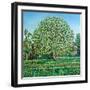 Bow Tree Spring-Noel Paine-Framed Giclee Print