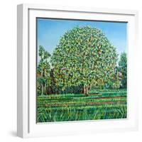 Bow Tree Spring-Noel Paine-Framed Giclee Print