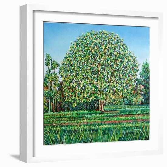 Bow Tree Spring-Noel Paine-Framed Giclee Print