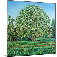 Bow Tree Spring-Noel Paine-Mounted Giclee Print