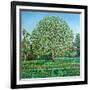 Bow Tree Spring-Noel Paine-Framed Giclee Print