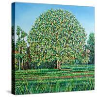 Bow Tree Spring-Noel Paine-Stretched Canvas