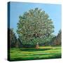 Bow Tree Summer-Noel Paine-Stretched Canvas