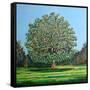 Bow Tree Summer-Noel Paine-Framed Stretched Canvas