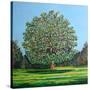 Bow Tree Summer-Noel Paine-Stretched Canvas