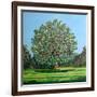 Bow Tree Summer-Noel Paine-Framed Giclee Print