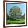 Bow Tree Summer-Noel Paine-Framed Giclee Print