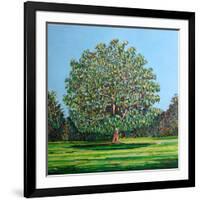 Bow Tree Summer-Noel Paine-Framed Giclee Print