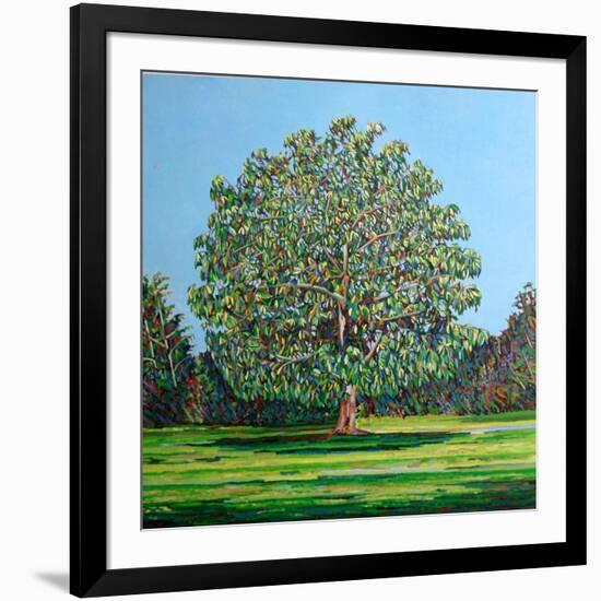 Bow Tree Summer-Noel Paine-Framed Giclee Print