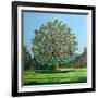 Bow Tree Summer-Noel Paine-Framed Giclee Print