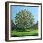 Bow Tree Summer-Noel Paine-Framed Giclee Print