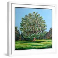 Bow Tree Summer-Noel Paine-Framed Giclee Print