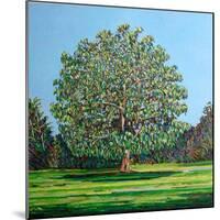 Bow Tree Summer-Noel Paine-Mounted Giclee Print