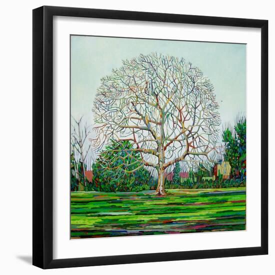 Bow Tree Winter-Noel Paine-Framed Giclee Print