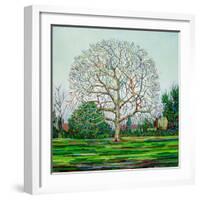 Bow Tree Winter-Noel Paine-Framed Giclee Print