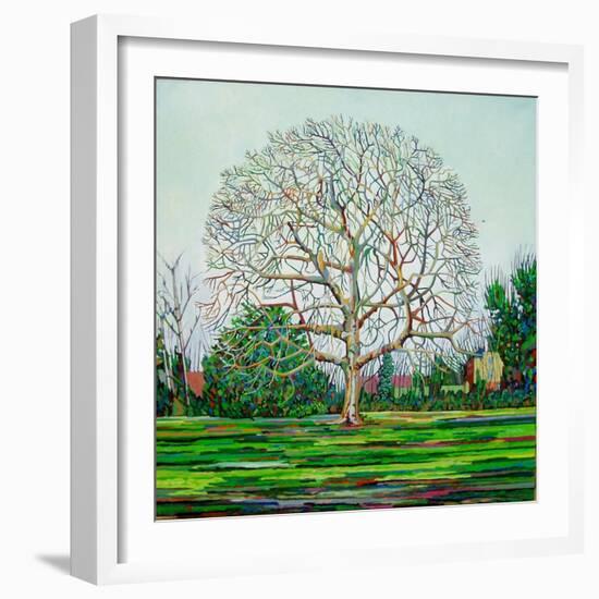 Bow Tree Winter-Noel Paine-Framed Giclee Print