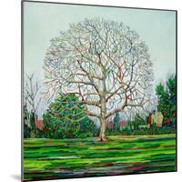 Bow Tree Winter-Noel Paine-Mounted Giclee Print