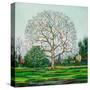 Bow Tree Winter-Noel Paine-Stretched Canvas