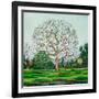 Bow Tree Winter-Noel Paine-Framed Giclee Print