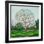 Bow Tree Winter-Noel Paine-Framed Giclee Print