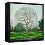Bow Tree Winter-Noel Paine-Framed Stretched Canvas