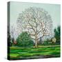 Bow Tree Winter-Noel Paine-Stretched Canvas