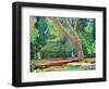 Bow Trench 1-Noel Paine-Framed Giclee Print