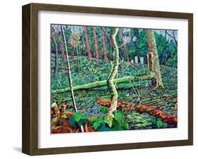 Bow Trench 2-Noel Paine-Framed Giclee Print