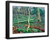 Bow Trench 2-Noel Paine-Framed Giclee Print