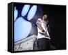 Bow Wow-null-Framed Stretched Canvas