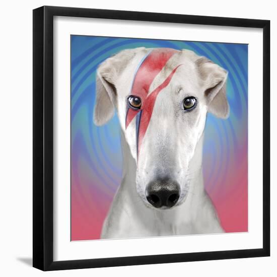 Bow-wowie-Malcolm Sanders-Framed Giclee Print