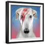 Bow-wowie-Malcolm Sanders-Framed Giclee Print