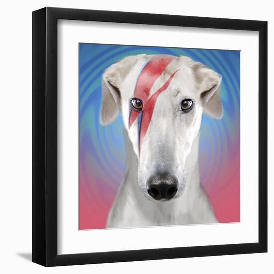 Bow-wowie-Malcolm Sanders-Framed Giclee Print