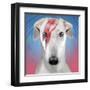 Bow-wowie-Malcolm Sanders-Framed Giclee Print