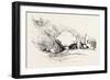 Bowder Stone, Lake District, UK-null-Framed Giclee Print