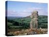 Bowerman's Nose, Dartmoor, Devon, England, United Kingdom-Cyndy Black-Stretched Canvas