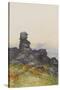 Bowerman?S Nose, Manaton Dartmoor , C.1895-96-Frederick John Widgery-Stretched Canvas
