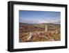 Bowerman's Nose on Hayne Down in Dartmoor National Park, Devon, England, United Kingdom, Europe-Julian Elliott-Framed Photographic Print