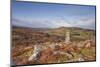 Bowerman's Nose on Hayne Down in Dartmoor National Park, Devon, England, United Kingdom, Europe-Julian Elliott-Mounted Photographic Print