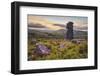 Bowerman's Nose rock formation at sunset, near Manaton, Dartmoor National Park, Devon, England-Stuart Black-Framed Photographic Print