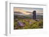 Bowerman's Nose rock formation at sunset, near Manaton, Dartmoor National Park, Devon, England-Stuart Black-Framed Photographic Print