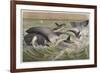 Bowhead and Killer Whales, Plate from "Brehms Tierleben: Allgemeine Kunde Des Tierreichs", Vol.3,…-German School-Framed Giclee Print