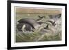 Bowhead and Killer Whales, Plate from "Brehms Tierleben: Allgemeine Kunde Des Tierreichs", Vol.3,…-German School-Framed Giclee Print