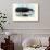 Bowhead Whale, 1863-79-Raimundo Petraroja-Giclee Print displayed on a wall