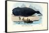 Bowhead Whale, 1863-79-Raimundo Petraroja-Framed Stretched Canvas